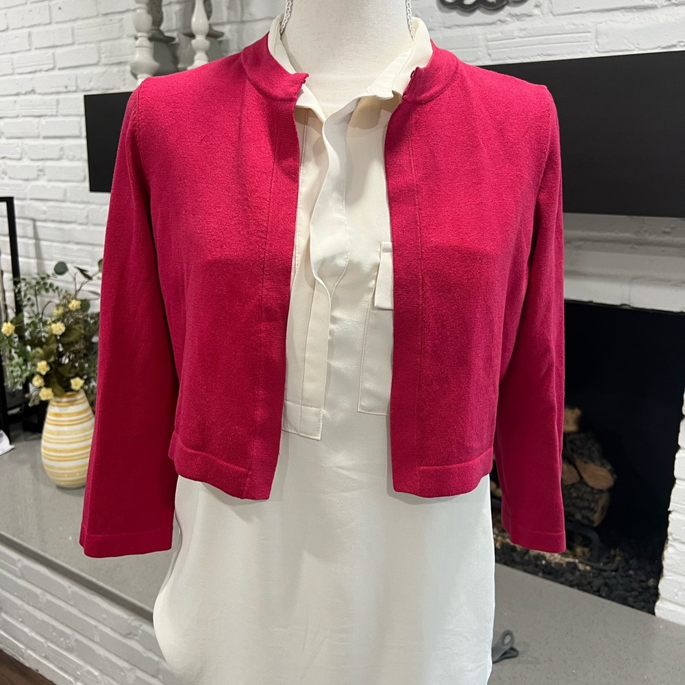 Ann Taylor Pink Cropped Sweater